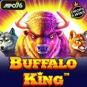Buffalo King